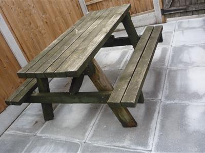Picture 8